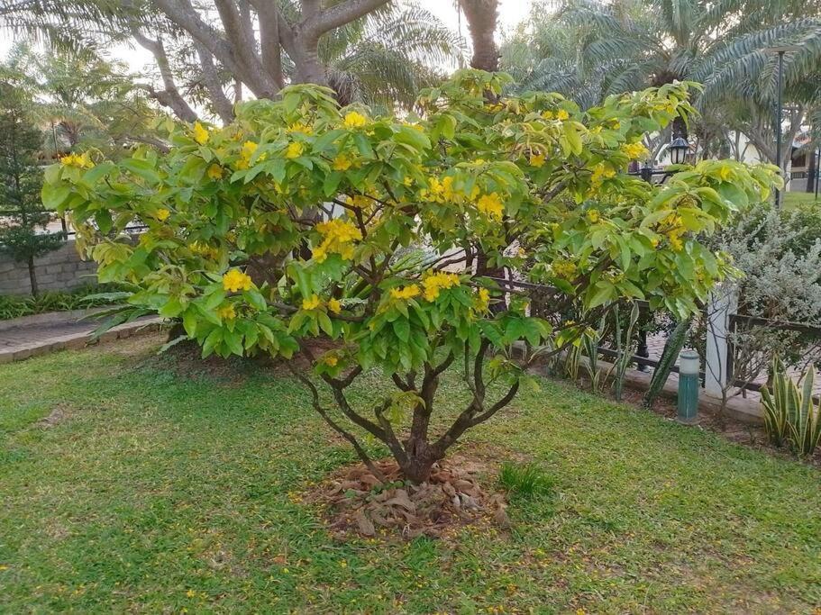 פאן ת'ייט Biet Thu Bien Mui Ne - Villa Muine Domaine - Sea View מראה חיצוני תמונה